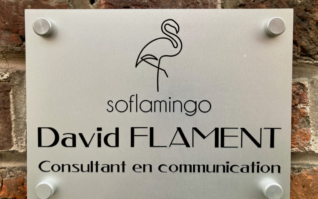 So Flamingo ouvre un bureau à Mons